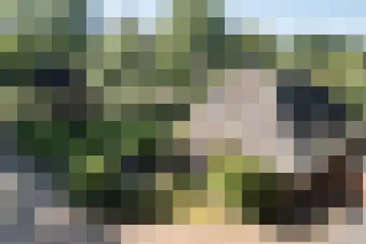 Jagersweg 6 a Enter thumbnail 48