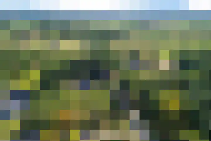 Jagersweg 6 a Enter thumbnail 49