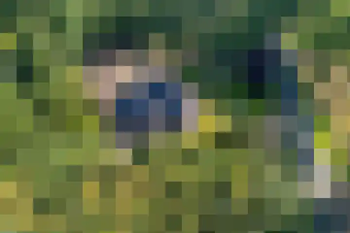 Jagersweg 6 a Enter thumbnail 50