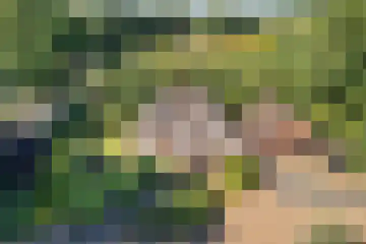 Jagersweg 6 a Enter thumbnail 51