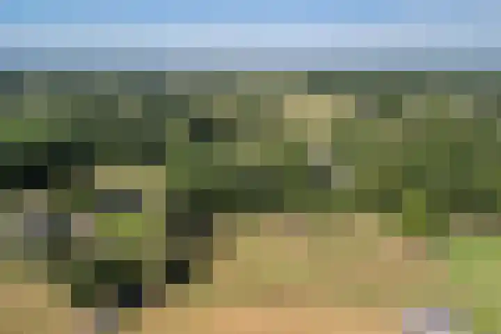 Jagersweg 6 a Enter thumbnail 52