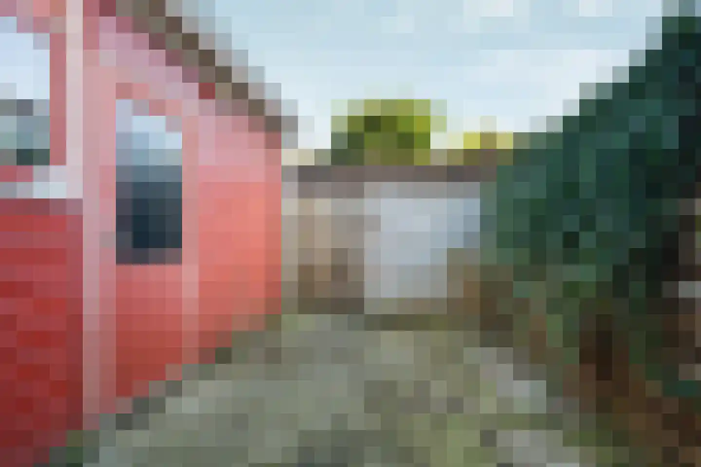 Jagersweg 61 Arnhem thumbnail 24