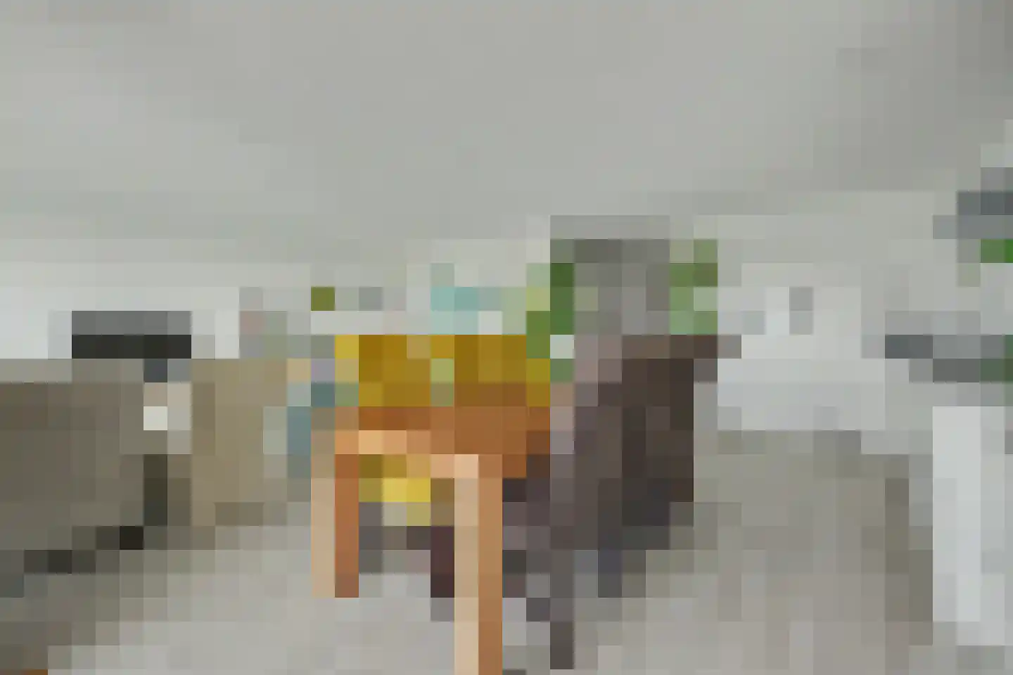 Jagertje 16 Goes thumbnail 15