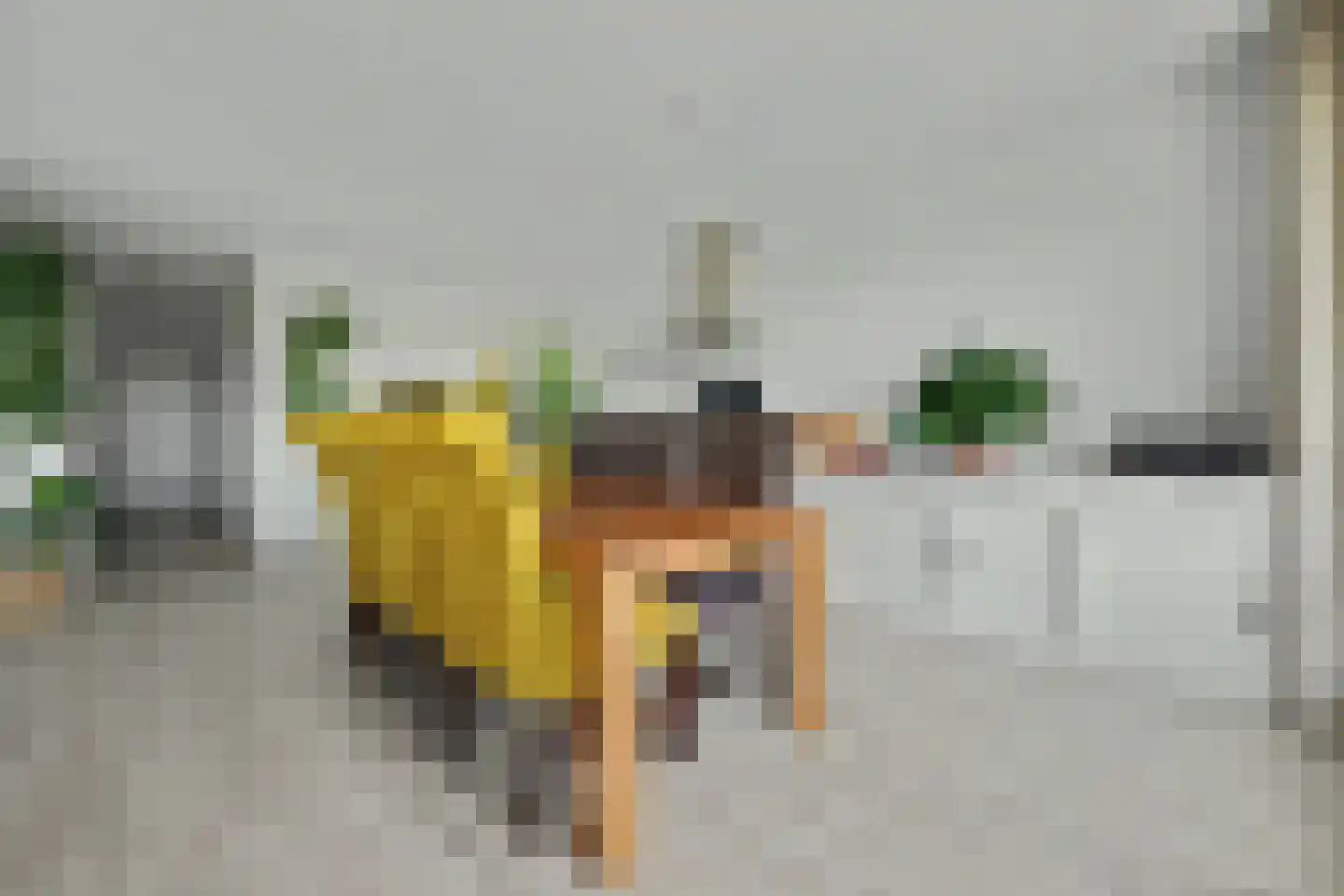 Jagertje 16 Goes thumbnail 16