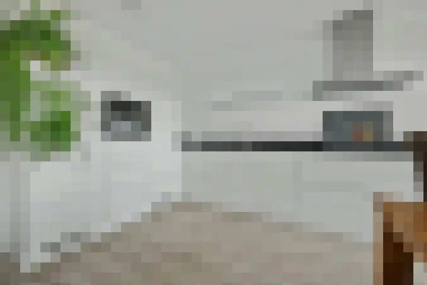 Jagertje 16 Goes thumbnail 17