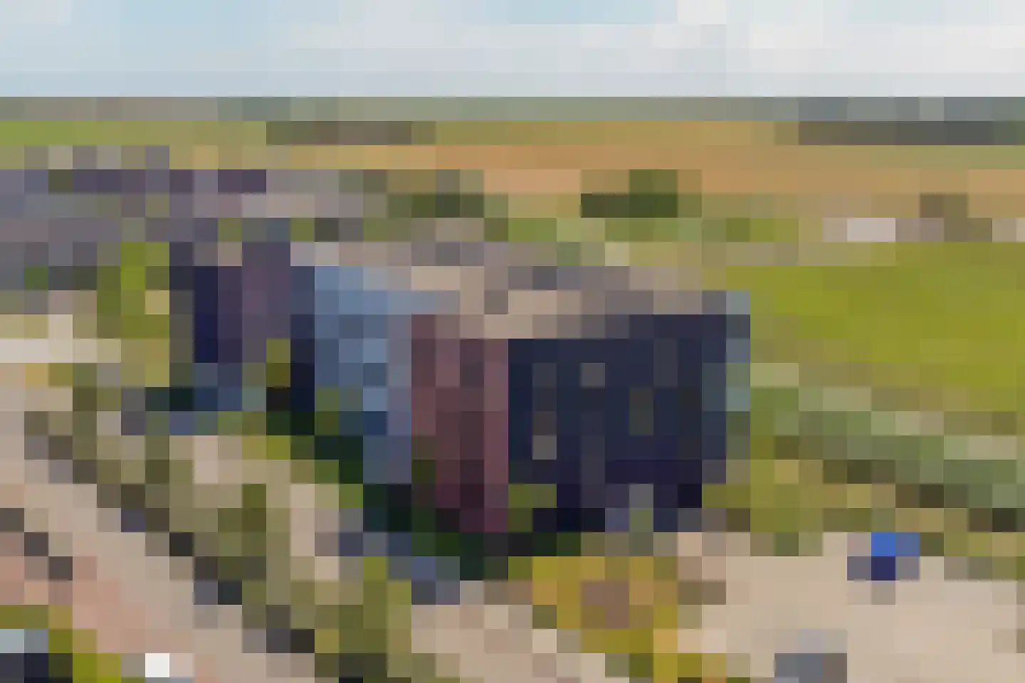 Jagertje 16 Goes thumbnail 41