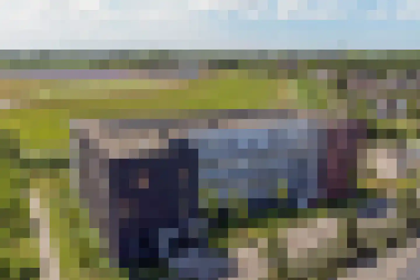 Jagertje 16 Goes thumbnail 44