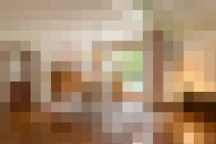 Jagerwei 9 Valkenswaard thumbnail 12