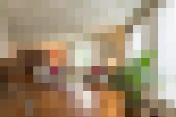 Jagerwei 9 Valkenswaard thumbnail 15