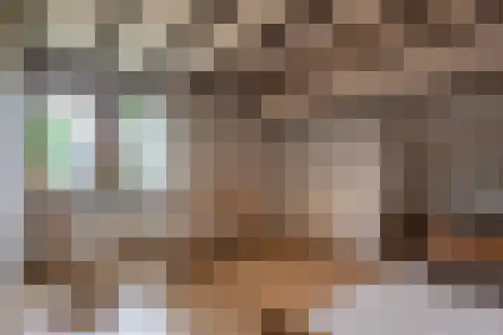 Jagerwei 9 Valkenswaard thumbnail 30