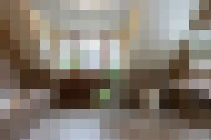 Jagerwei 9 Valkenswaard thumbnail 32