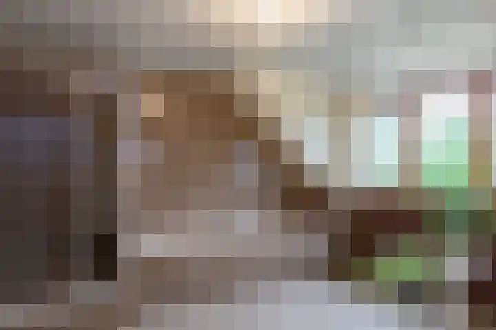 Jagerwei 9 Valkenswaard thumbnail 33