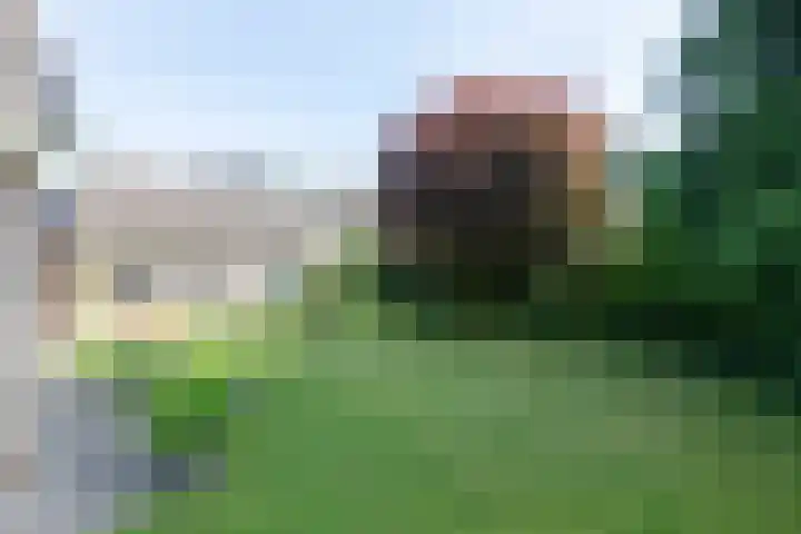 Jagerwei 9 Valkenswaard thumbnail 48