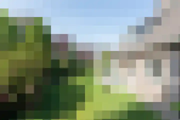 Jagerwei 9 Valkenswaard thumbnail 49