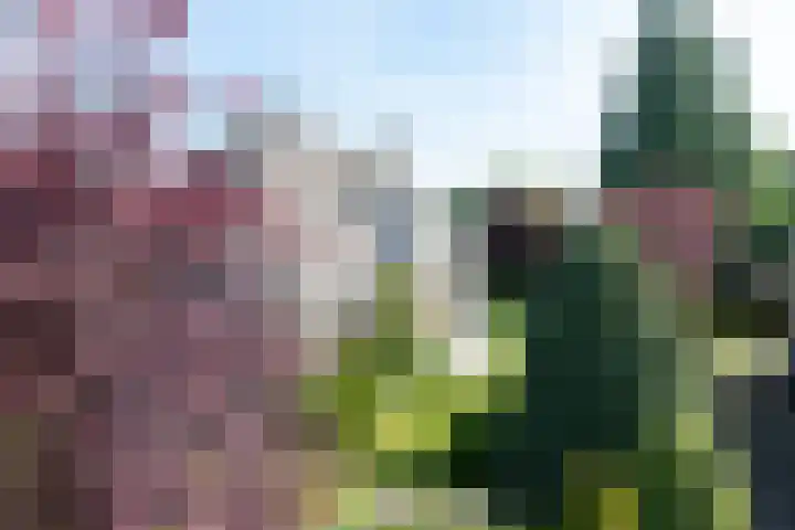 Jagerwei 9 Valkenswaard thumbnail 55