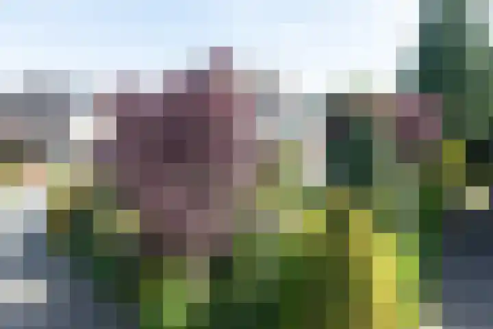 Jagerwei 9 Valkenswaard thumbnail 56