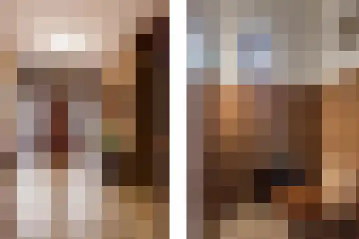 Jagerwei 9 Valkenswaard thumbnail 9