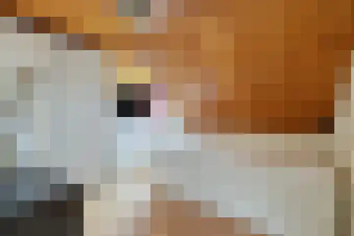Jagilstraat 16 Gilze thumbnail 22
