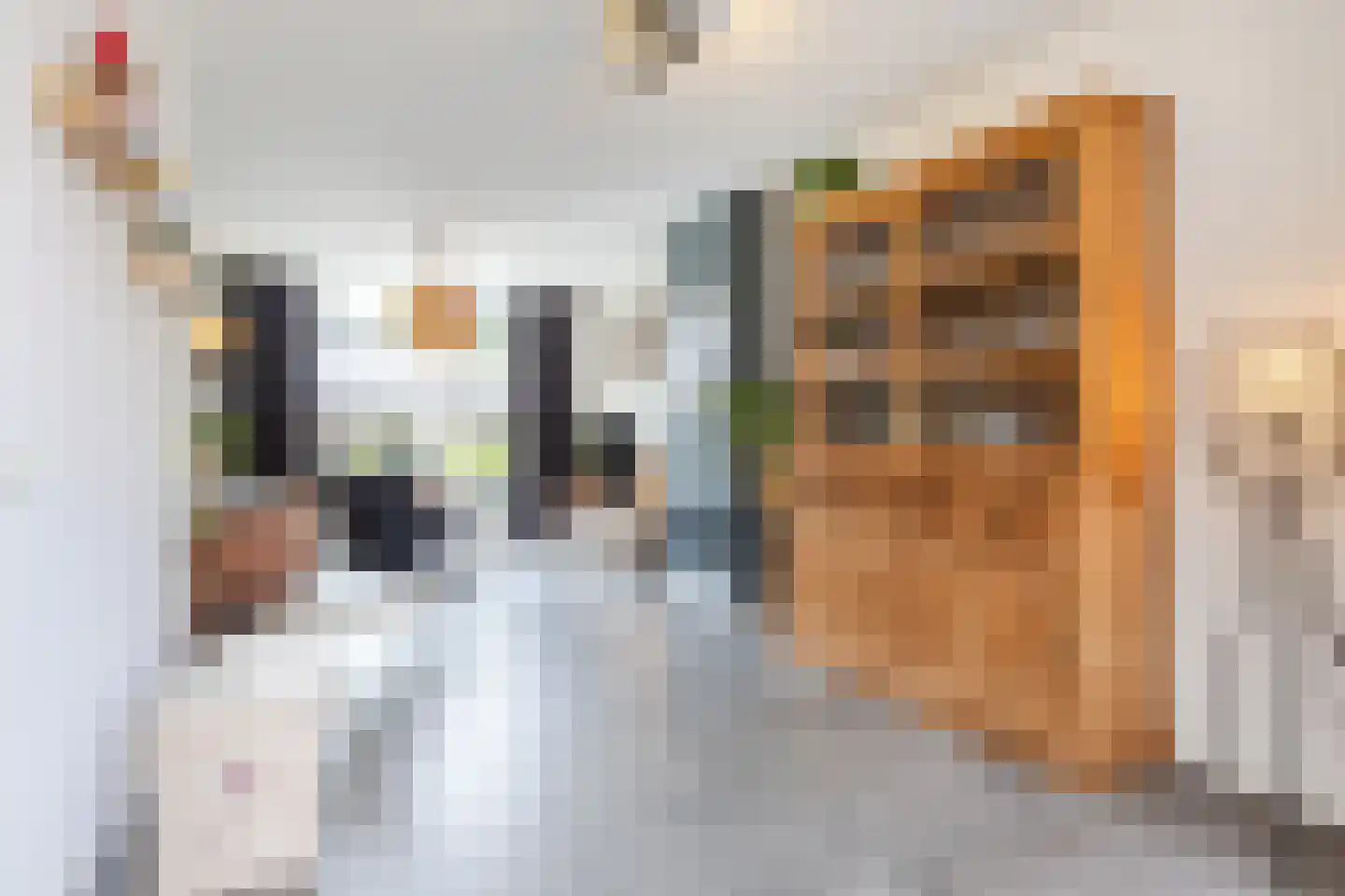 Jagilstraat 4 Gilze thumbnail 15