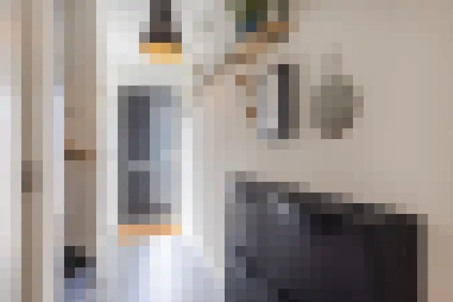 Jagilstraat 4 Gilze thumbnail 6