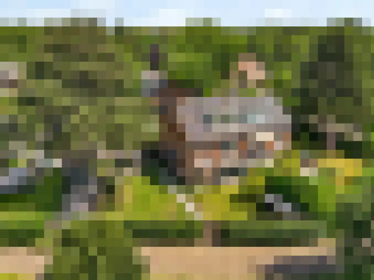 Jagtlustlaan 19 in Santpoort-Zuid