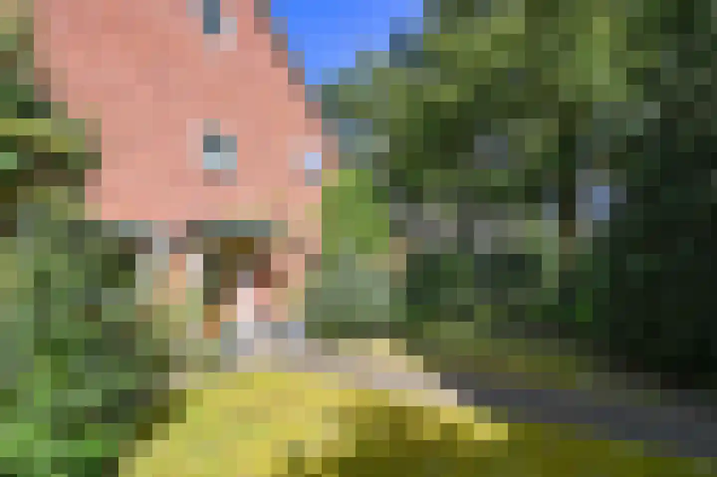 Jagtlustlaan 2 Santpoort-Zuid thumbnail 43