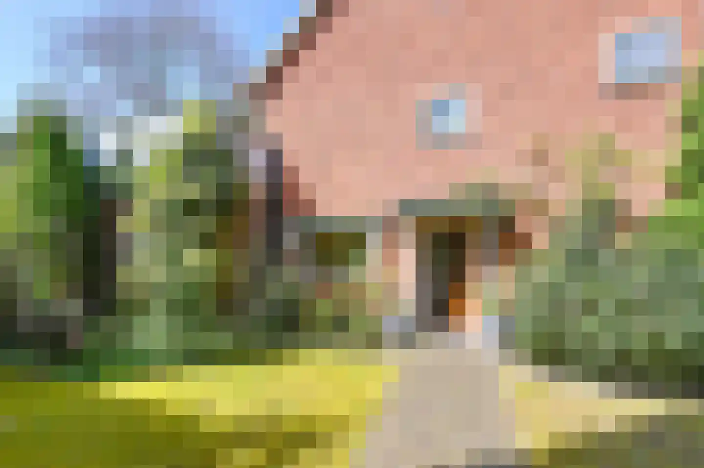 Jagtlustlaan 2 Santpoort-Zuid thumbnail 5