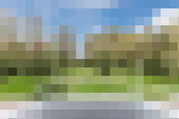Jaguar 15 Heerhugowaard thumbnail 37