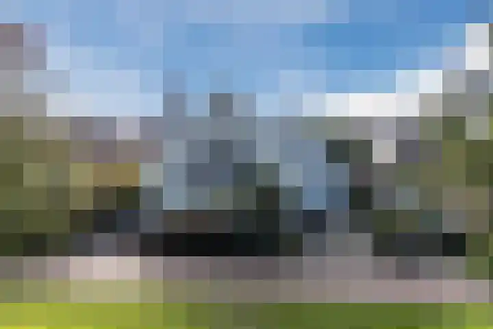 Jaguar 15 Heerhugowaard thumbnail 6