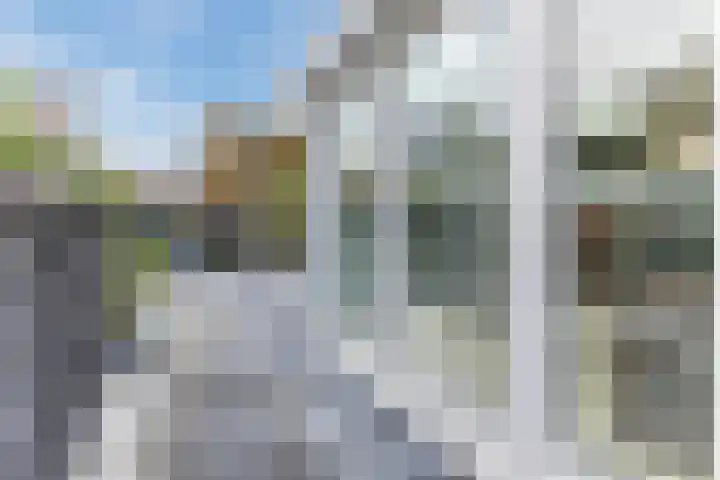 Jaguar 15 Heerhugowaard thumbnail 64