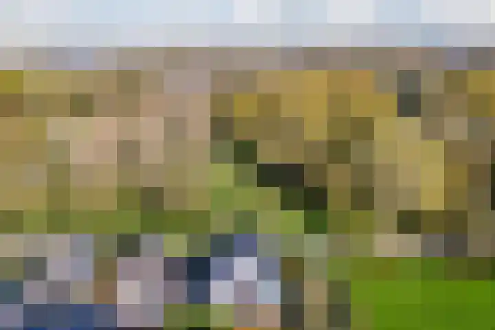 Jaguar 15 Heerhugowaard thumbnail 8