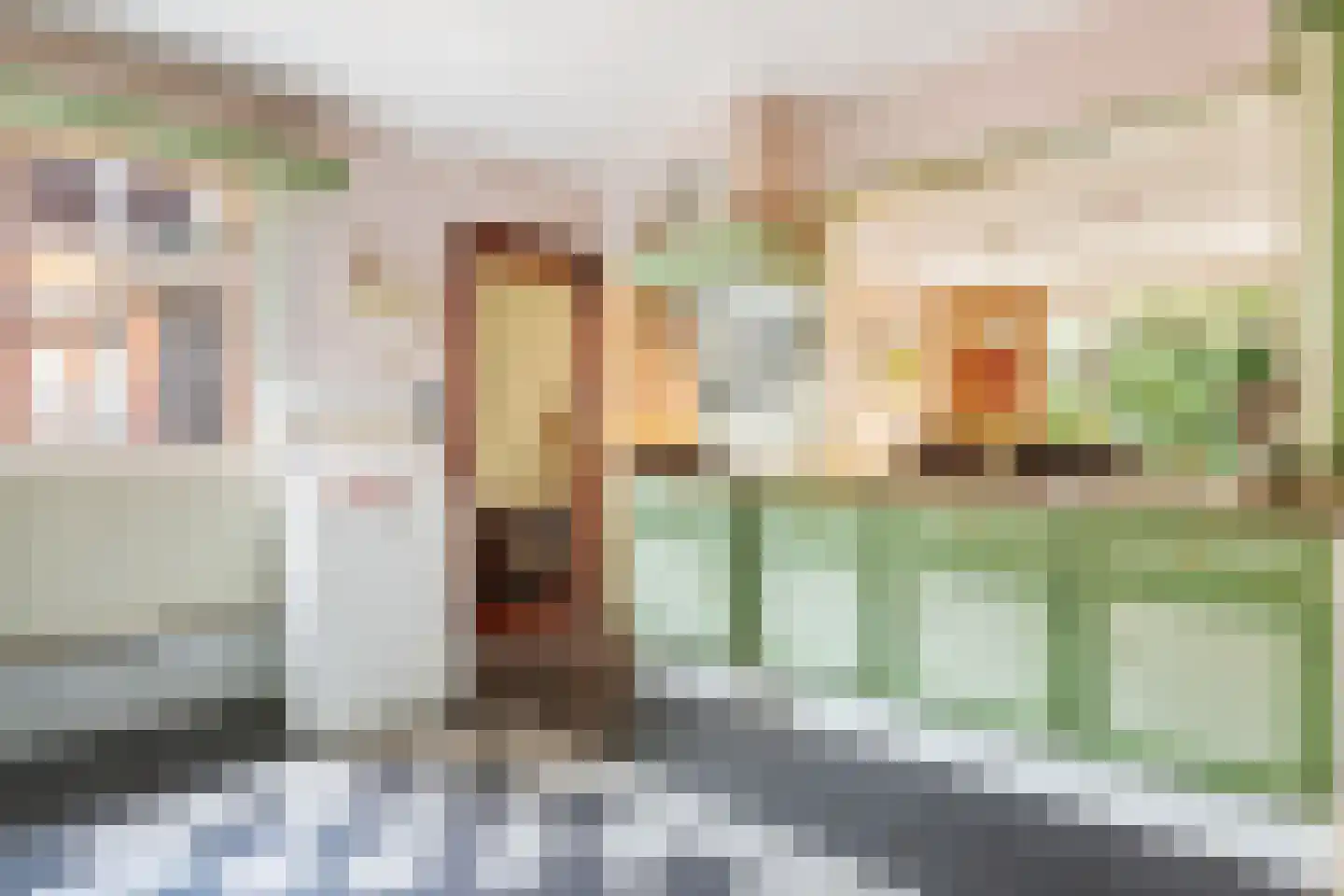 Jakob Bruggemalaan 14 Veendam thumbnail 12