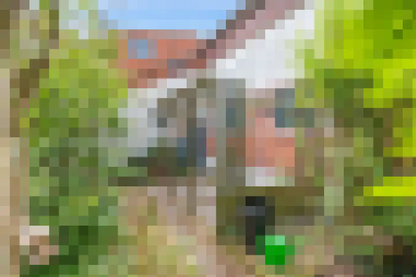 Jakob Bruggemalaan 14 Veendam thumbnail 30