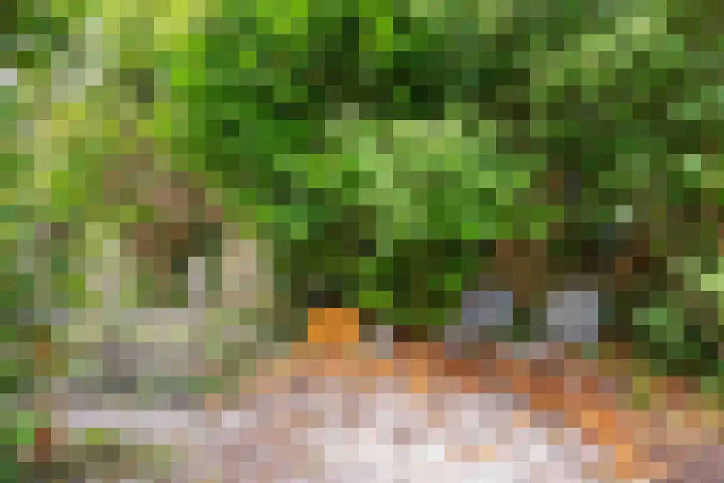 Jakob Bruggemalaan 14 Veendam thumbnail 31