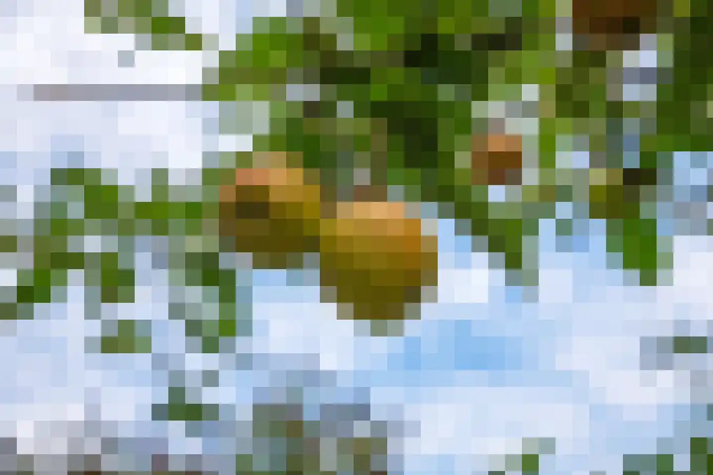 Jakob Bruggemalaan 14 Veendam thumbnail 36