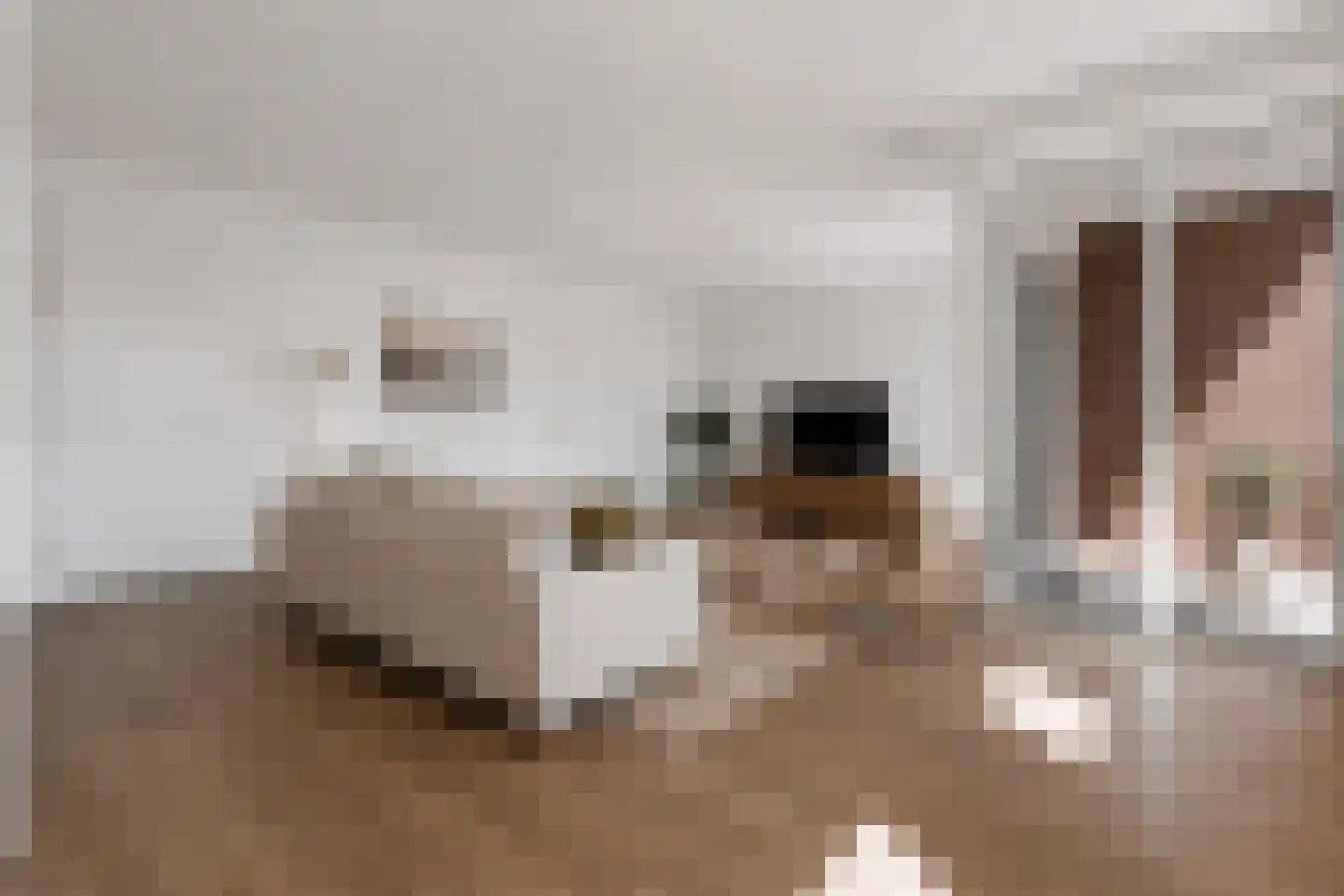Jakob Bruggemalaan 2 01 Veendam thumbnail 9