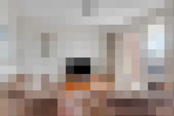 Jakob Bruggemalaan 2 22 Veendam thumbnail 15