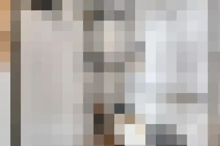 Jakob Bruggemalaan 2 22 Veendam thumbnail 31