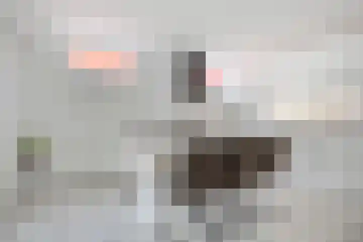 Jakob Bruggemalaan 26 Veendam thumbnail 13