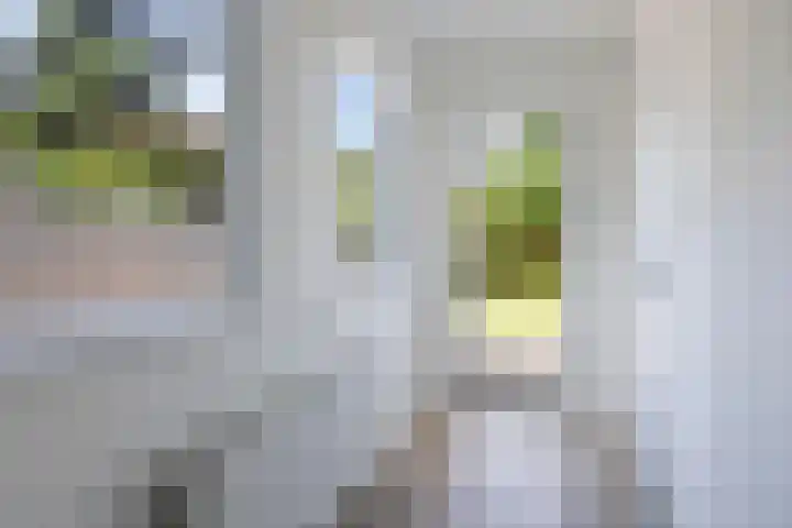 Jakob Bruggemalaan 26 Veendam thumbnail 16
