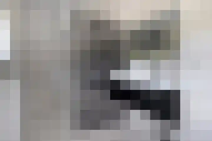Jakob Bruggemalaan 26 Veendam thumbnail 25