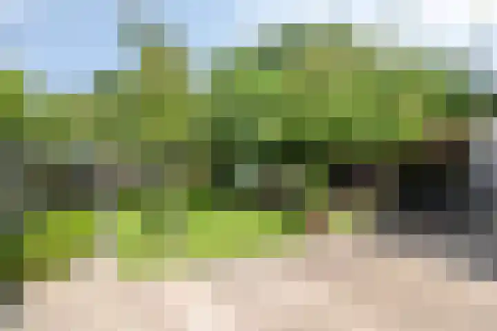 Jakob Bruggemalaan 26 Veendam thumbnail 48