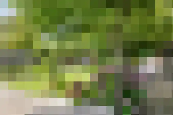 Jakob Bruggemalaan 26 Veendam thumbnail 49