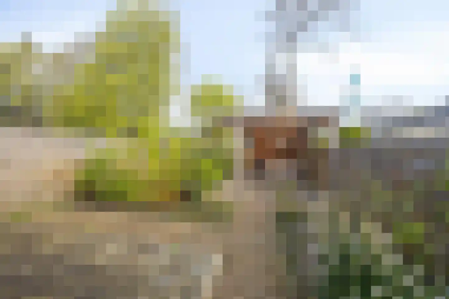 Jakob Bruggemalaan 54 Veendam thumbnail 35