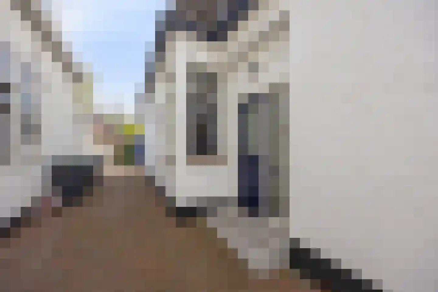 Jakob Bruggemalaan 54 Veendam thumbnail 6