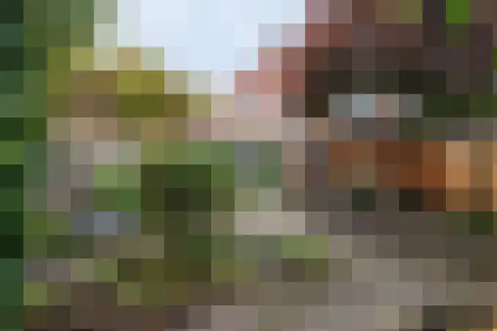 Jakob Bruggemalaan 94 Veendam thumbnail 77