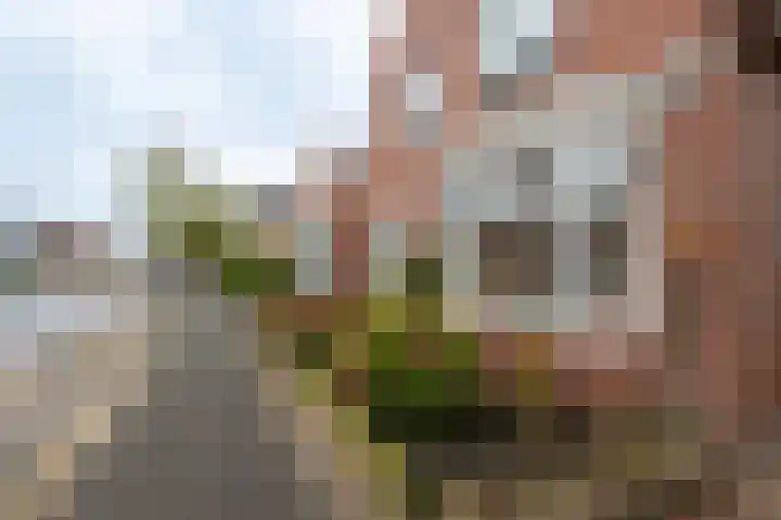 Jakob Bruggemalaan 94 Veendam thumbnail 79