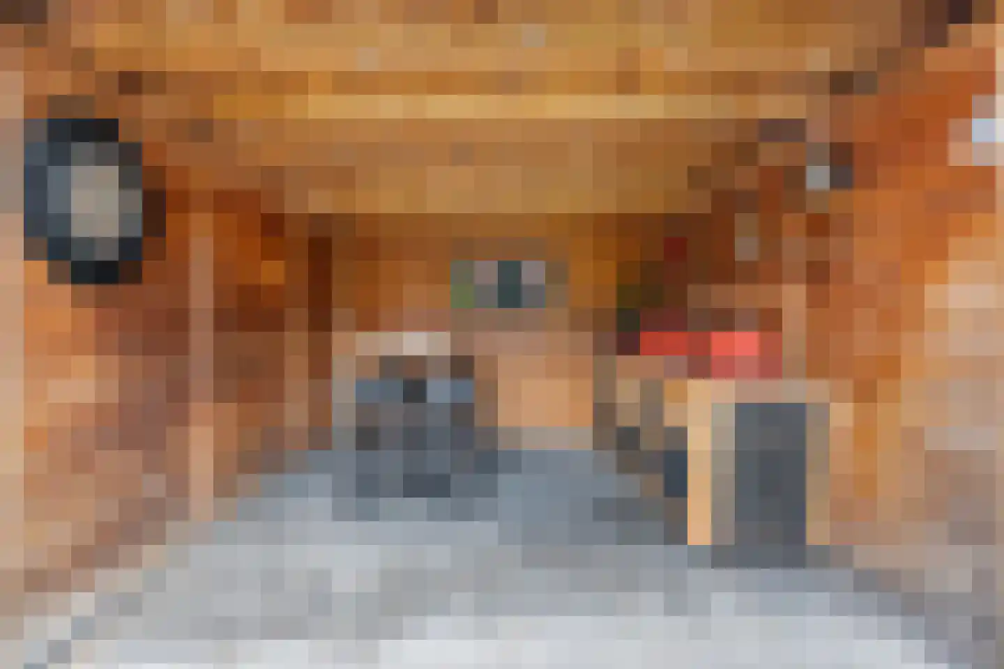 Jakob Bruggemalaan 96 Veendam thumbnail 34