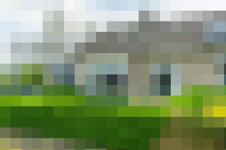 Jakob de Graafstraat 1 Kollumerpomp thumbnail 38