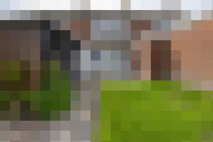 Jakob de Graafstraat 29 Kollumerpomp thumbnail 31